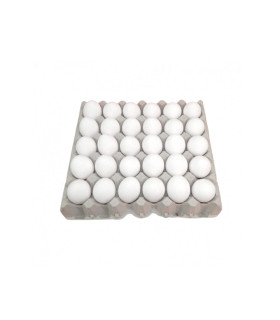 Huevos de gallina blanco orgánico e importado (30 U)